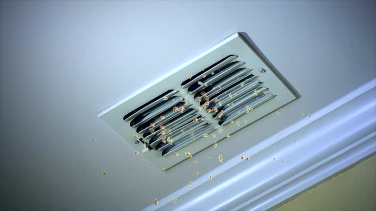 Best Air Vent Cleaning Services  in Woodlawn, VA